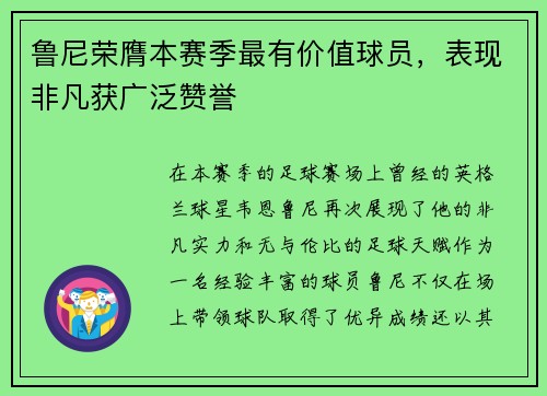 鲁尼荣膺本赛季最有价值球员，表现非凡获广泛赞誉